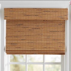 Pottery Barn Custom Cordless Blackout Shades (2)